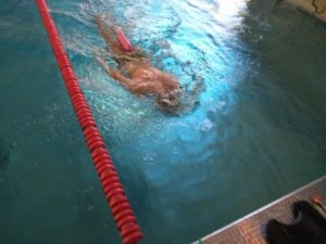 schwimmtraining im wasser