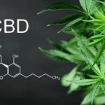 VEGANES BIO CBD – Cannabidiol