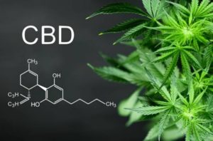 Veganes BIO CBD