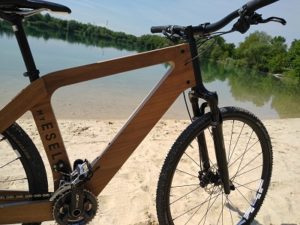 Holz Fahrrad Testbericht