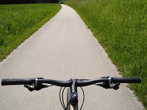 Holz Fahrrad Testbericht