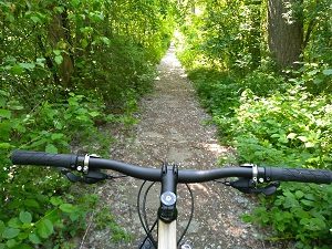 Holz Fahrrad Testbericht