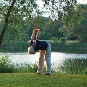 Yogis gehen online