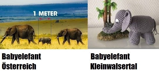 unwort des jahres - babyelefant unwort des jahres - babyelefant