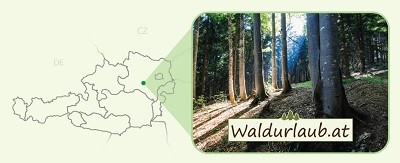 Waldurlaub ohne Nachbarn Waldurlaub ohne Nachbarn