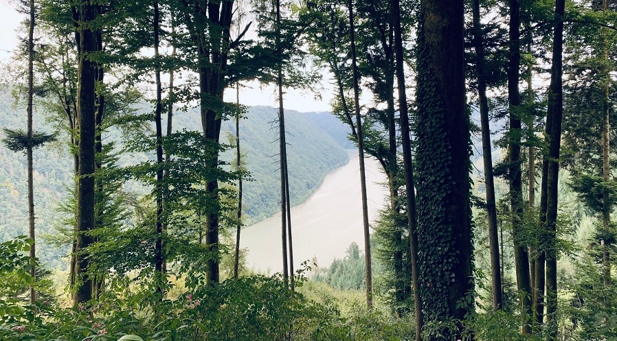 Donauradweg Aschach an der Donau Ausblick