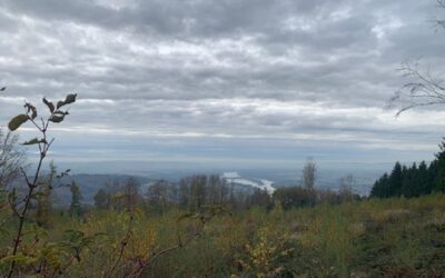 Hoher Dürnberg – Ausflug mit Donau Ausblick