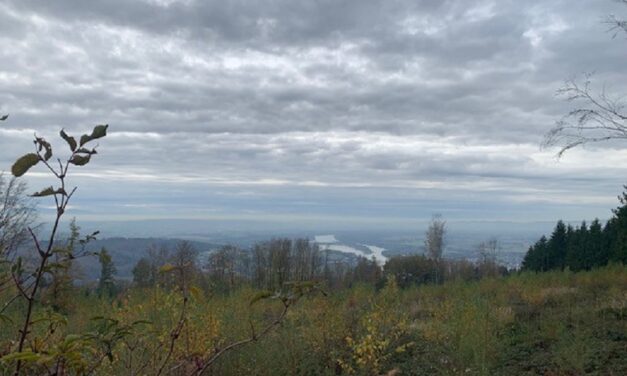 Hoher Dürnberg – Ausflug mit Donau Ausblick