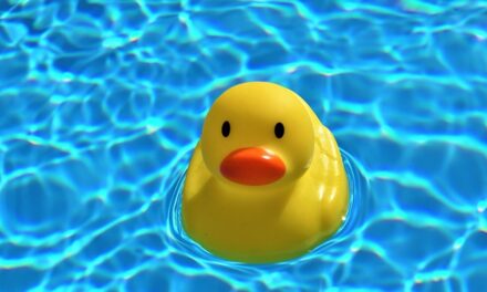 Schwimmbecken online kaufen – Freuen Sie sich auf den Sommer!